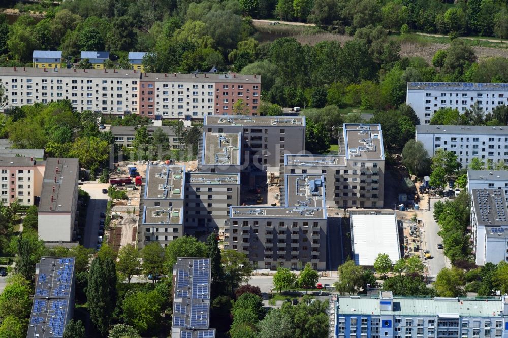 Berlin von oben - Baustelle zum Neubau einer Mehrfamilienhaus-Wohnanlage Lion-Feuchtwanger-Straße - Gadebuscher Straße im Ortsteil Hellersdorf in Berlin, Deutschland