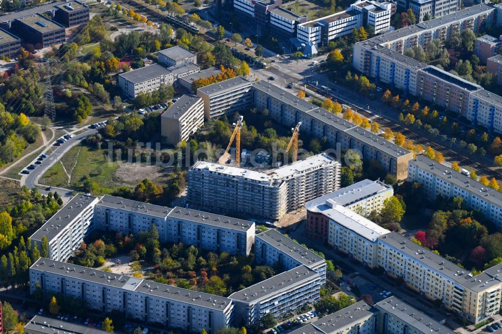 Berlin von oben - Baustelle zum Neubau einer Mehrfamilienhaus-Wohnanlage Martin-Riesenburger-Straße im Ortsteil Hellersdorf in Berlin, Deutschland