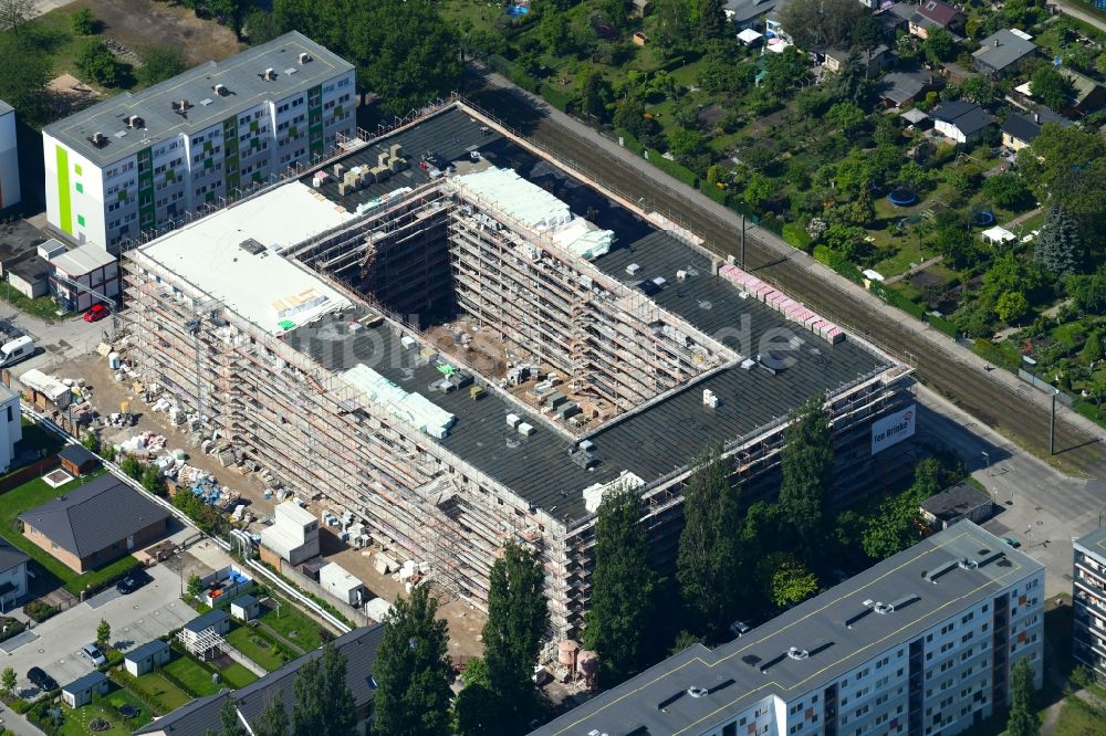 Berlin aus der Vogelperspektive: Baustelle zum Neubau einer Mehrfamilienhaus-Wohnanlage im Ortsteil Hohenschönhausen in Berlin, Deutschland