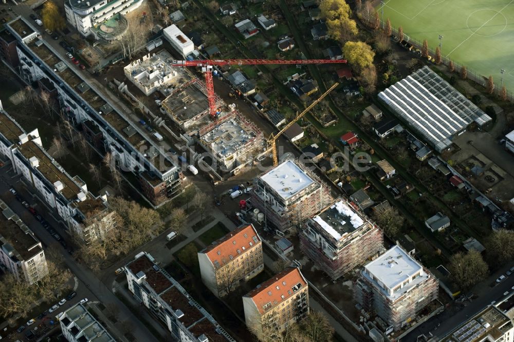 Luftaufnahme Berlin - Baustelle zum Neubau einer Mehrfamilienhaus-Wohnanlage an der Palmkernzeile auf der Halbinsel Stralau in Berlin