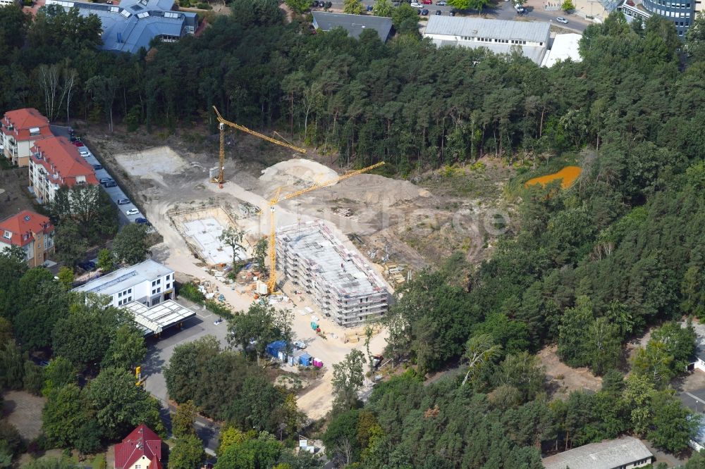 Luftbild Potsdam - Baustelle zum Neubau einer Mehrfamilienhaus-Wohnanlage Residenz Steinstraße im Ortsteil Stern in Potsdam im Bundesland Brandenburg, Deutschland