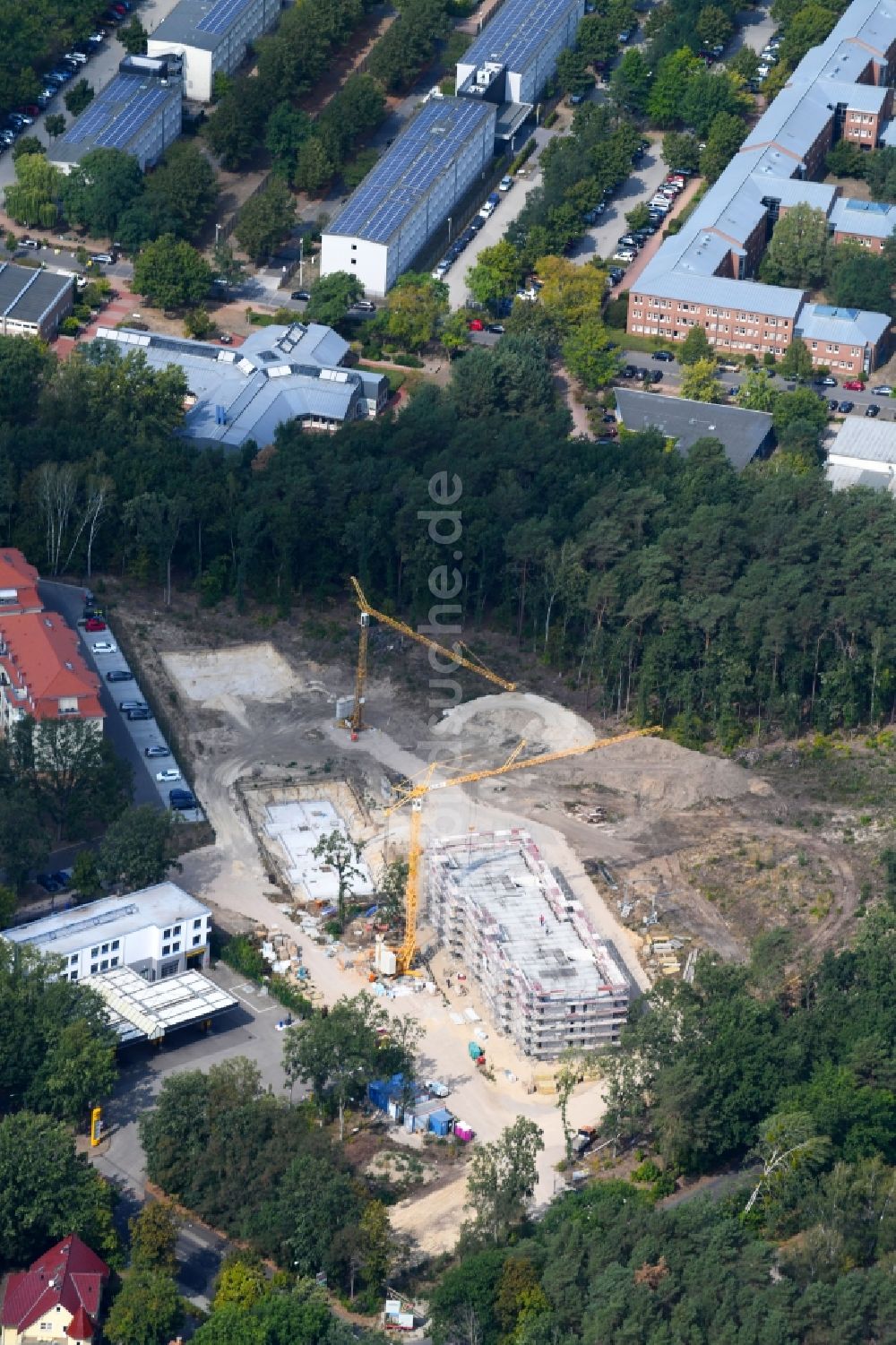 Potsdam von oben - Baustelle zum Neubau einer Mehrfamilienhaus-Wohnanlage Residenz Steinstraße im Ortsteil Stern in Potsdam im Bundesland Brandenburg, Deutschland