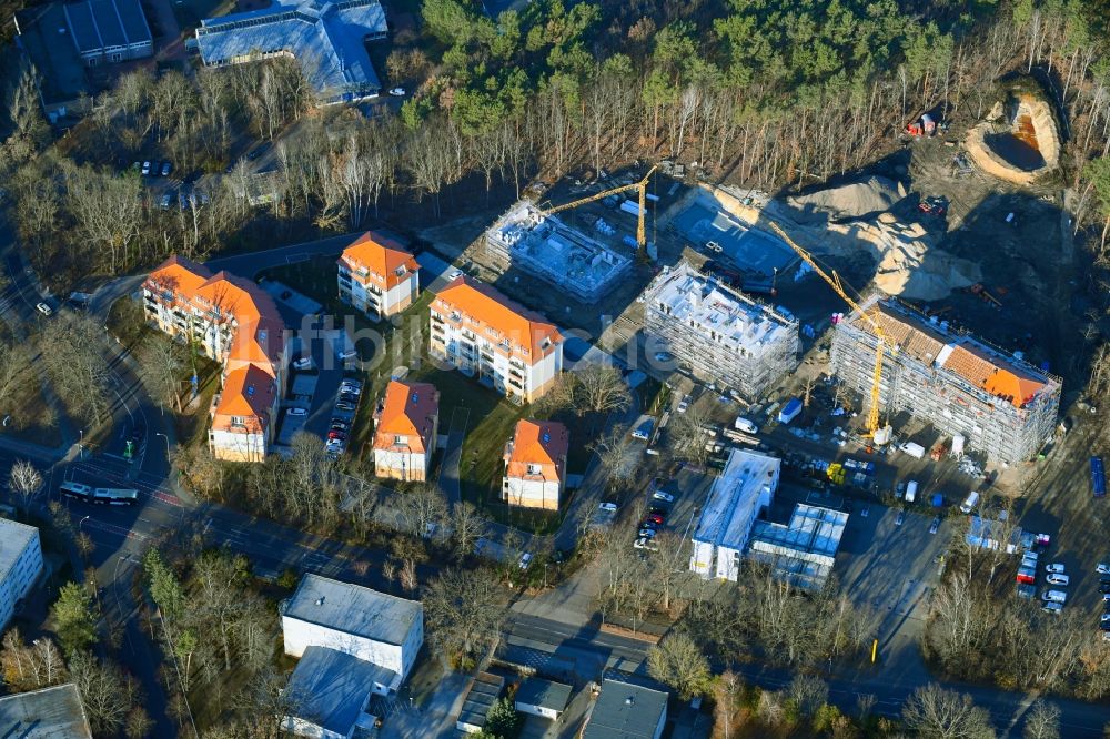 Luftbild Potsdam - Baustelle zum Neubau einer Mehrfamilienhaus-Wohnanlage Residenz Steinstraße im Ortsteil Stern in Potsdam im Bundesland Brandenburg, Deutschland