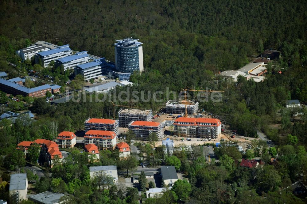 Potsdam von oben - Baustelle zum Neubau einer Mehrfamilienhaus-Wohnanlage Residenz Steinstraße im Ortsteil Stern in Potsdam im Bundesland Brandenburg, Deutschland