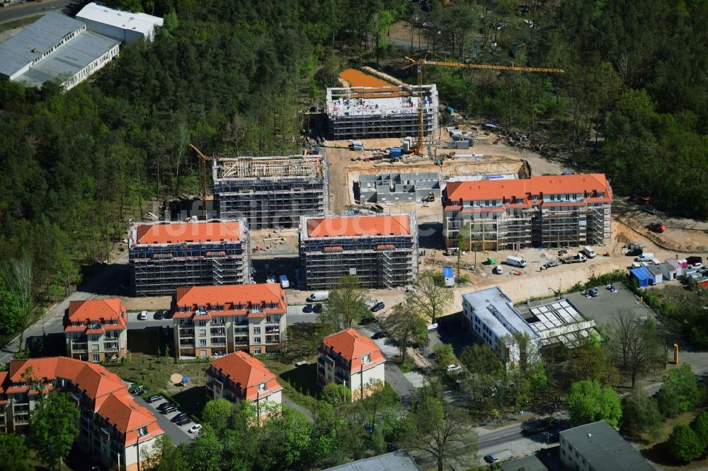 Luftbild Potsdam - Baustelle zum Neubau einer Mehrfamilienhaus-Wohnanlage Residenz Steinstraße im Ortsteil Stern in Potsdam im Bundesland Brandenburg, Deutschland