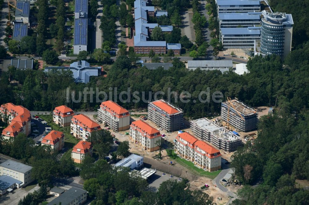 Luftbild Potsdam - Baustelle zum Neubau einer Mehrfamilienhaus-Wohnanlage Residenz Steinstraße im Ortsteil Stern in Potsdam im Bundesland Brandenburg, Deutschland