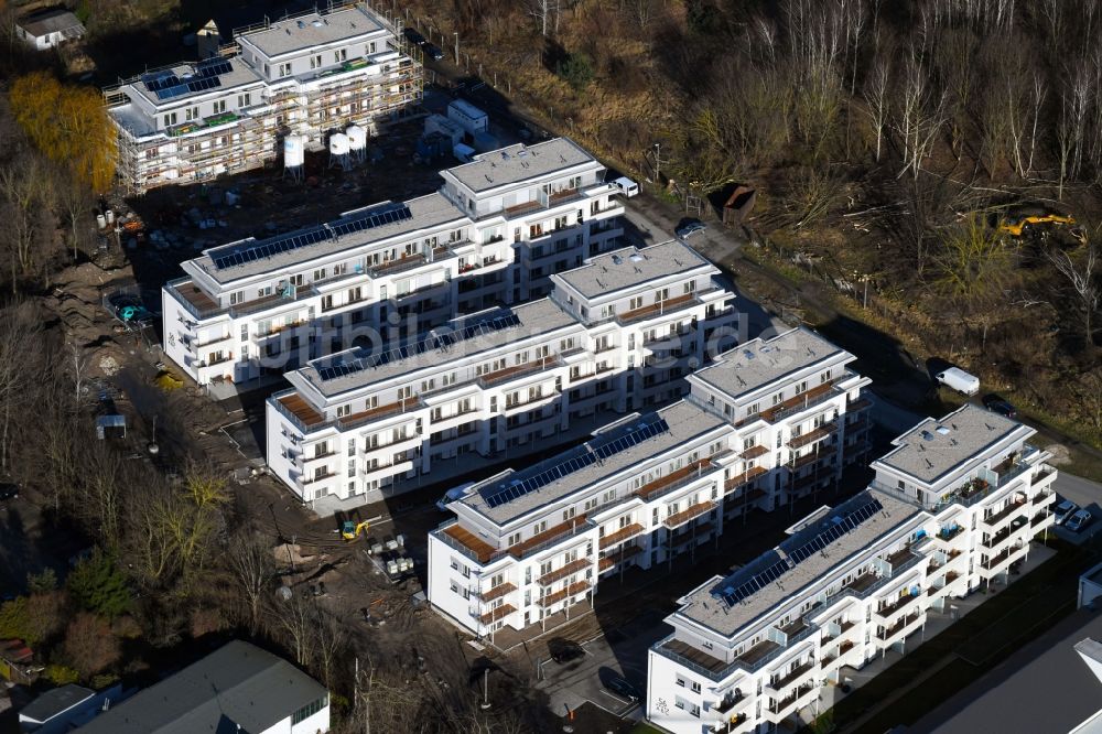 Berlin aus der Vogelperspektive: Baustelle zum Neubau einer Mehrfamilienhaus-Wohnanlage An der Schule im Stadtteil Mahlsdorf in Berlin