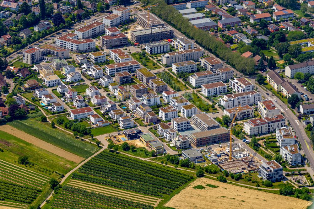 Luftaufnahme Offenburg - Baustelle zum Neubau einer Mehrfamilienhaus-Wohnanlage Im Seidenfaden in Offenburg im Bundesland Baden-Württemberg, Deutschland