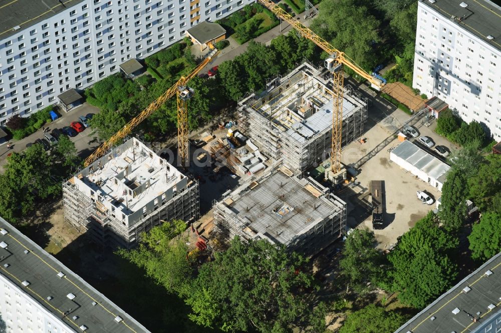 Luftbild Berlin - Baustelle zum Neubau einer Mehrfamilienhaus-Wohnanlage Stadthäuser Dolgenseestraße der Wohnungsbaugesellschaft HOWOGE im Ortsteil Lichtenberg in Berlin, Deutschland