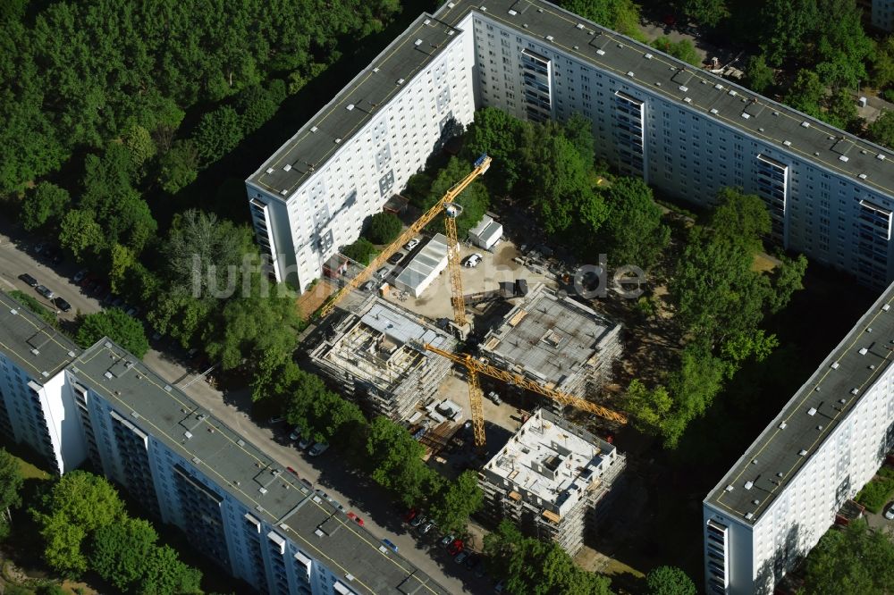 Berlin aus der Vogelperspektive: Baustelle zum Neubau einer Mehrfamilienhaus-Wohnanlage Stadthäuser Dolgenseestraße der Wohnungsbaugesellschaft HOWOGE im Ortsteil Lichtenberg in Berlin, Deutschland