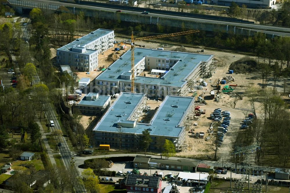 Bernau aus der Vogelperspektive: Baustelle zum Neubau einer Mehrfamilienhaus-Wohnanlage Waldquartier in Bernau im Bundesland Brandenburg, Deutschland