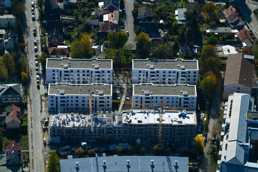 Teltow aus der Vogelperspektive: Baustelle zum Neubau einer Mehrfamilienhaus-Wohnanlage Wohnen am Striewitzweg der Bonava Deutschland GmbH in Teltow im Bundesland Brandenburg, Deutschland