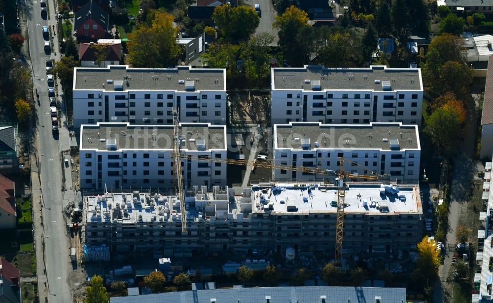 Teltow von oben - Baustelle zum Neubau einer Mehrfamilienhaus-Wohnanlage Wohnen am Striewitzweg der Bonava Deutschland GmbH in Teltow im Bundesland Brandenburg, Deutschland