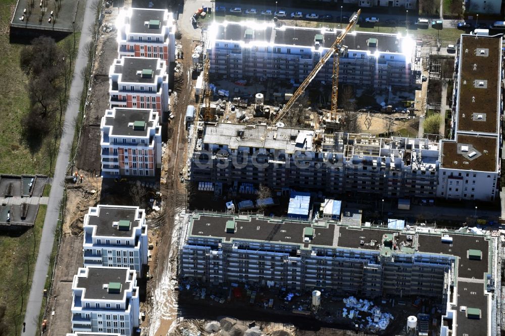 Berlin aus der Vogelperspektive: Baustelle zum Neubau einer Mehrfamilienhaus-Wohnanlage zwischen Hasenholzer Allee und dem Wiesenpark im Ortsteil Marzahn in Berlin