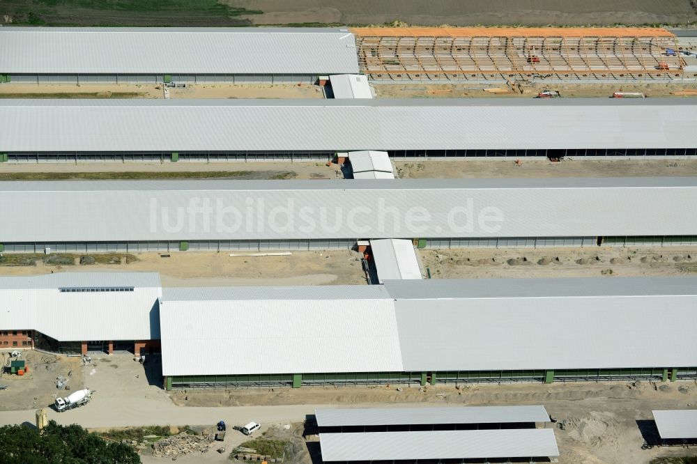 Luftbild Ziltendorf - Baustelle zum Neubau der Milchviehanlage der Bauerngesellschaft “Ziltendorfer Niederung” in Ziltendorf im Bundesland Brandenburg