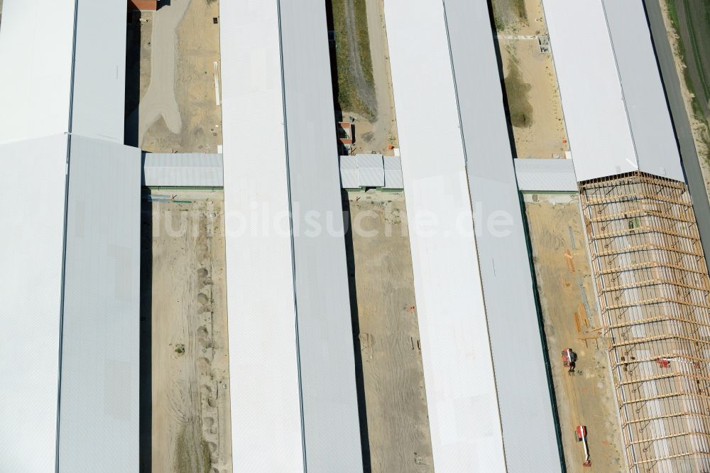 Luftaufnahme Ziltendorf - Baustelle zum Neubau der Milchviehanlage der Bauerngesellschaft “Ziltendorfer Niederung” in Ziltendorf im Bundesland Brandenburg