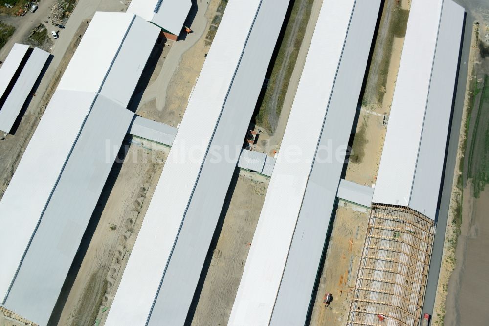 Ziltendorf von oben - Baustelle zum Neubau der Milchviehanlage der Bauerngesellschaft “Ziltendorfer Niederung” in Ziltendorf im Bundesland Brandenburg