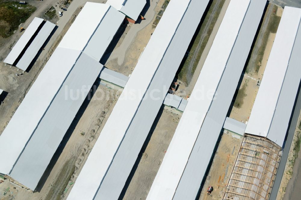 Ziltendorf aus der Vogelperspektive: Baustelle zum Neubau der Milchviehanlage der Bauerngesellschaft “Ziltendorfer Niederung” in Ziltendorf im Bundesland Brandenburg