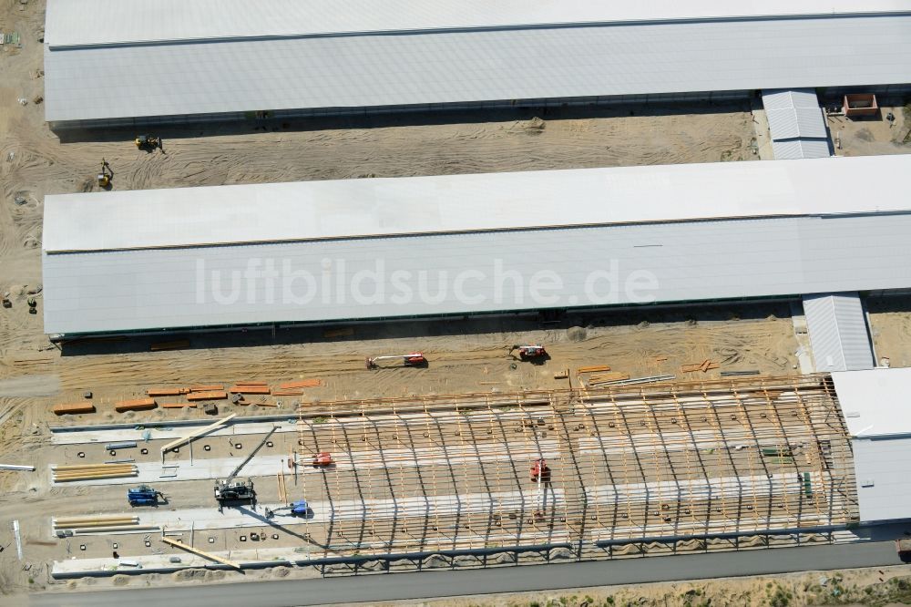 Luftbild Ziltendorf - Baustelle zum Neubau der Milchviehanlage der Bauerngesellschaft “Ziltendorfer Niederung” in Ziltendorf im Bundesland Brandenburg