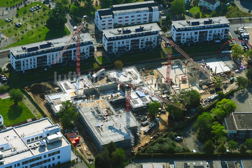 Köln von oben - Baustelle zum Neubau des Schulgebäudes der Gesamtschule in Köln im Bundesland Nordrhein-Westfalen, Deutschland