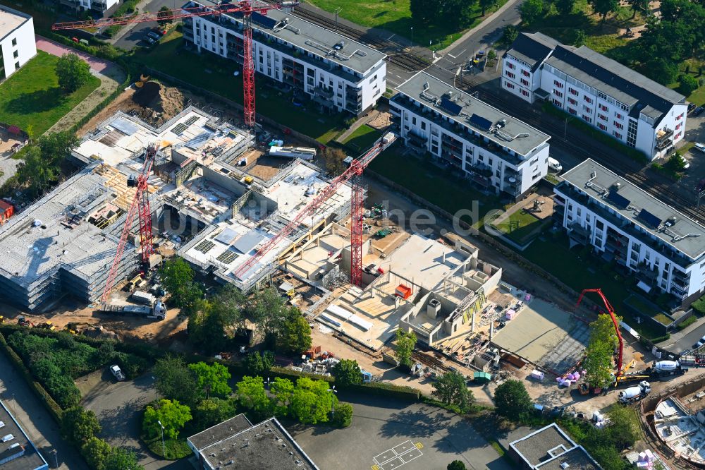 Köln aus der Vogelperspektive: Baustelle zum Neubau des Schulgebäudes der Gesamtschule in Köln im Bundesland Nordrhein-Westfalen, Deutschland