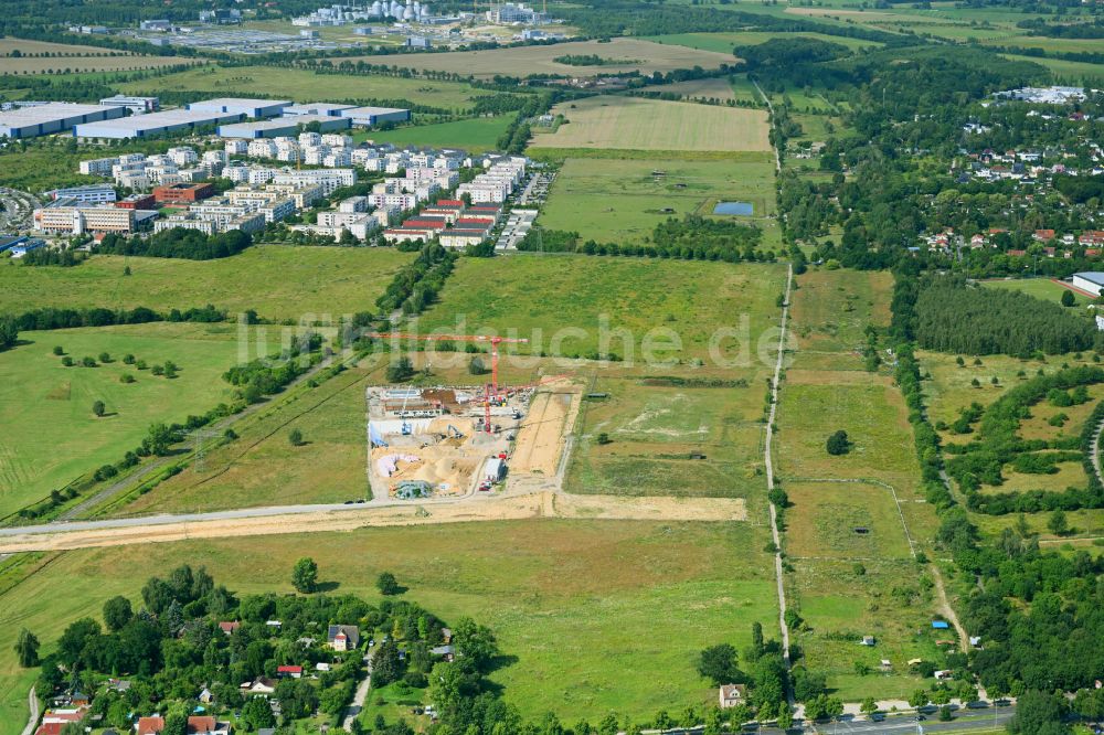 Schönefeld von oben - Baustelle zum Neubau des Schulgebäudes und Gymnasium in Schönefeld im Bundesland Brandenburg, Deutschland