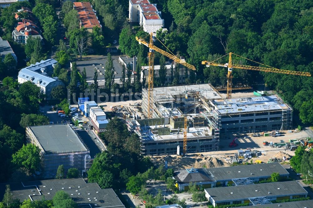 Berlin von oben - Baustelle zum Neubau des Schulgebäudes der Heinrich-Böll-Oberschule Am Forstacker im Ortsteil Hakenfelde in Berlin, Deutschland