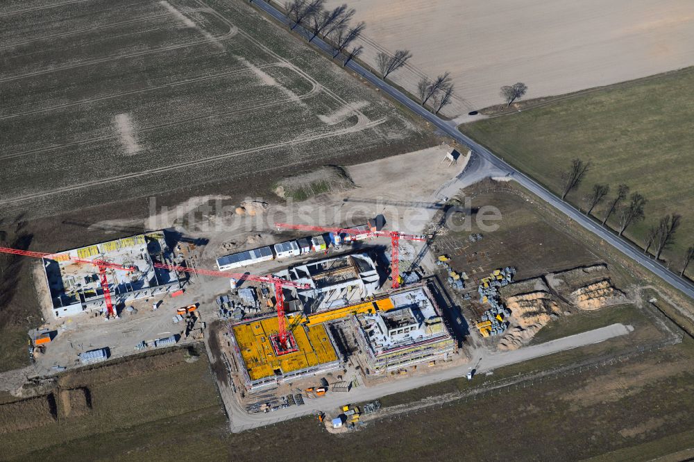 Altlandsberg aus der Vogelperspektive: Baustelle zum Neubau des Schulgebäudes Neuer Schulcampus in Altlandsberg im Bundesland Brandenburg, Deutschland