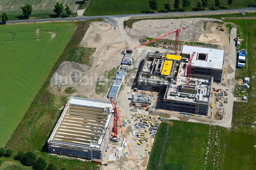 Altlandsberg von oben - Baustelle zum Neubau des Schulgebäudes Neuer Schulcampus in Altlandsberg im Bundesland Brandenburg, Deutschland