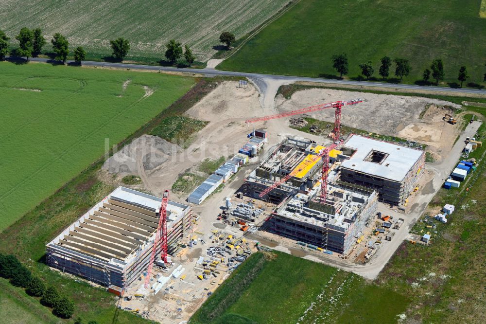 Altlandsberg aus der Vogelperspektive: Baustelle zum Neubau des Schulgebäudes Neuer Schulcampus in Altlandsberg im Bundesland Brandenburg, Deutschland