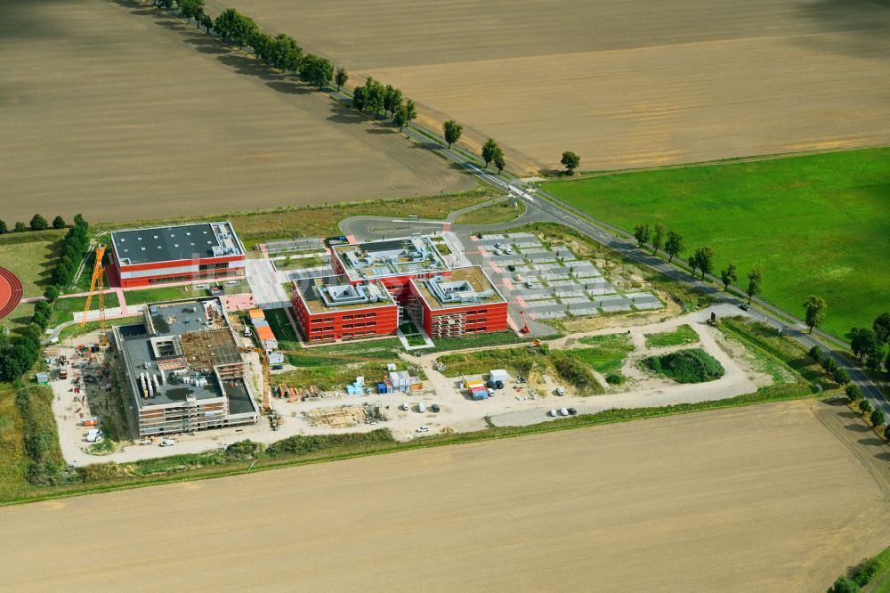 Luftaufnahme Altlandsberg - Baustelle zum Neubau des Schulgebäudes Neuer Schulcampus in Altlandsberg im Bundesland Brandenburg, Deutschland