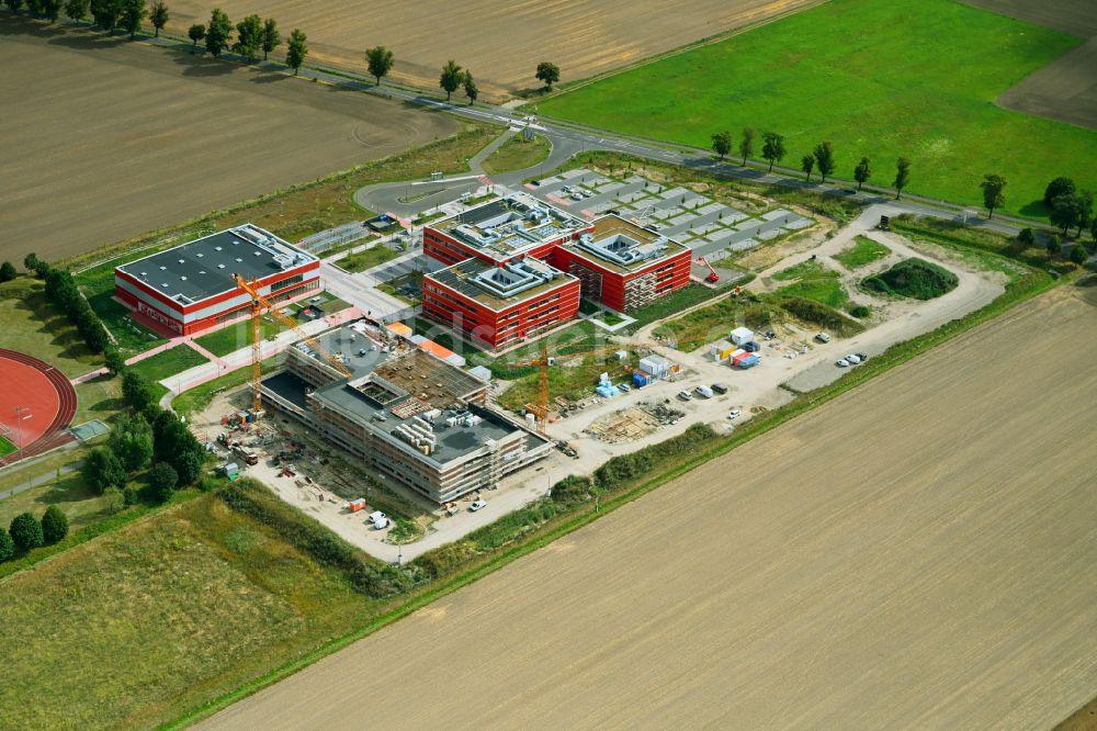 Altlandsberg von oben - Baustelle zum Neubau des Schulgebäudes Neuer Schulcampus in Altlandsberg im Bundesland Brandenburg, Deutschland