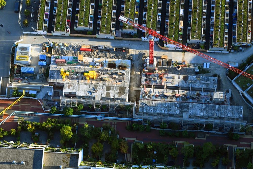 München aus der Vogelperspektive: Baustelle zum Neubau eines Studenten- Wohnheim - Gebäude im Olympiadorf in München im Bundesland Bayern, Deutschland