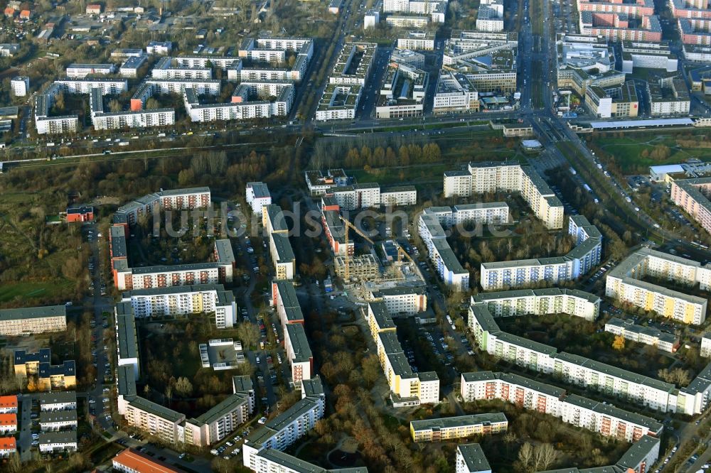 Berlin aus der Vogelperspektive: Baustelle zum Neubau eines Wohn- und Geschäftshauses am Kastanienboulevard im Ortsteil Hellersdorf in Berlin, Deutschland