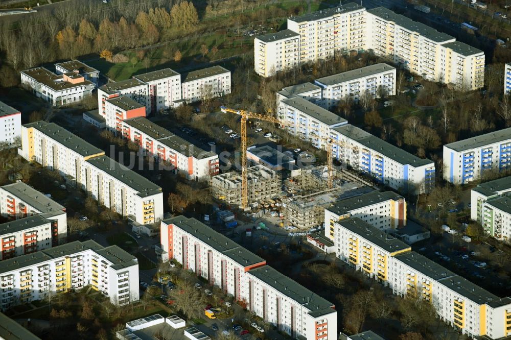 Berlin aus der Vogelperspektive: Baustelle zum Neubau eines Wohn- und Geschäftshauses am Kastanienboulevard im Ortsteil Hellersdorf in Berlin, Deutschland