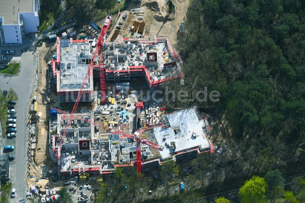 Berlin von oben - Baustelle zum Neubau eines Wohn- und Geschäftshauses Oskar & Helene in Dahlem in Berlin, Deutschland