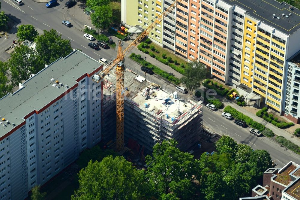 Luftbild Berlin - Baustelle zum Neubau eines Wohn- und Geschäftshauses Zechliner Straße in Hohenschönhausen in Berlin, Deutschland