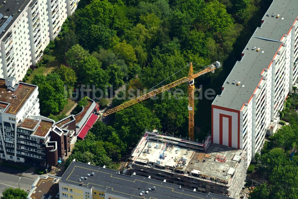 Berlin aus der Vogelperspektive: Baustelle zum Neubau eines Wohn- und Geschäftshauses Zechliner Straße in Hohenschönhausen in Berlin, Deutschland