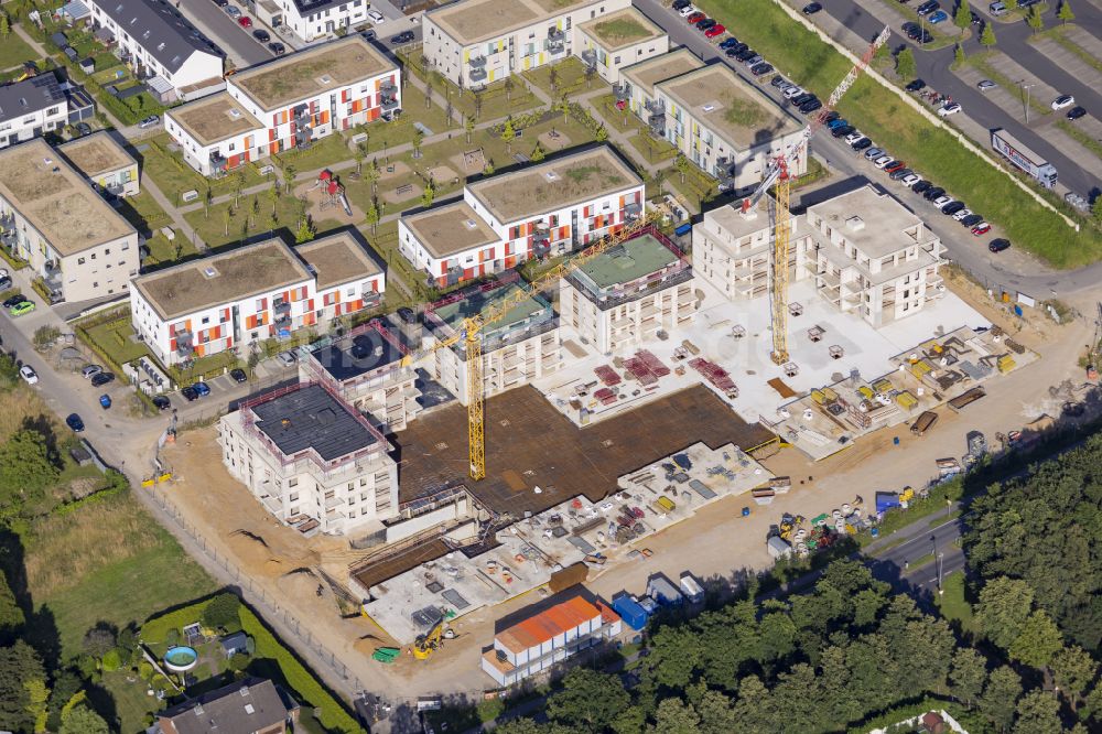 Luftaufnahme Bedburg - Baustelle zum Neubau- Wohngebiet einer Ein und Mehrfamilienhaus- Siedlung des Baugebiets Sonnenfeld in Bedburg- Kaster im Bundesland Nordrhein-Westfalen, Deutschland