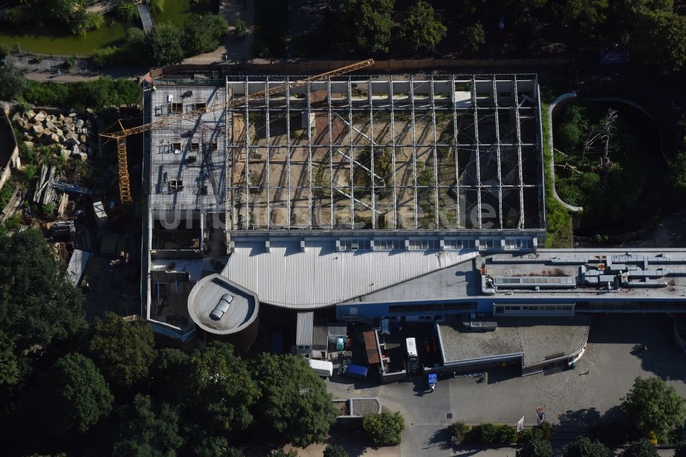 Dresden aus der Vogelperspektive: Baustelle zum Umbau des Afrikahauses in Dresden im Bundesland Sachsen