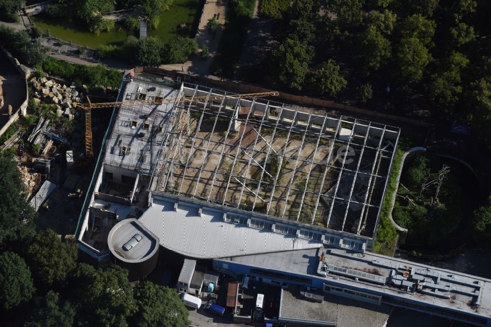 Luftbild Dresden - Baustelle zum Umbau des Afrikahauses in Dresden im Bundesland Sachsen