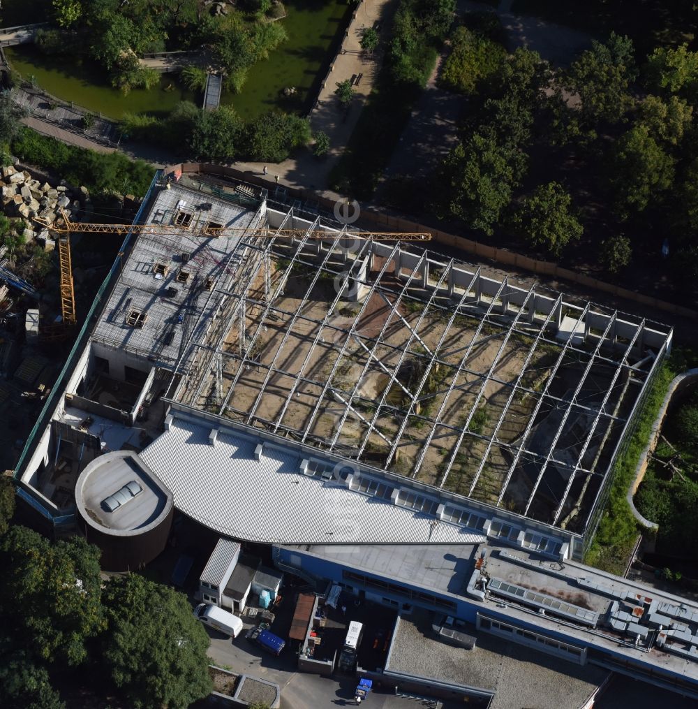 Luftaufnahme Dresden - Baustelle zum Umbau des Afrikahauses in Dresden im Bundesland Sachsen