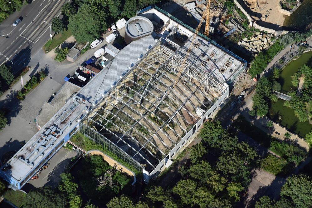 Luftbild Dresden - Baustelle zum Umbau des Afrikahauses in Dresden im Bundesland Sachsen