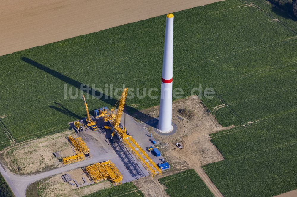 Grevenbroich von oben - Baustelle zur Windrad- Montage auf einem landwirtschaftlich genutzten Feld in Grevenbroich im Bundesland Nordrhein-Westfalen, Deutschland