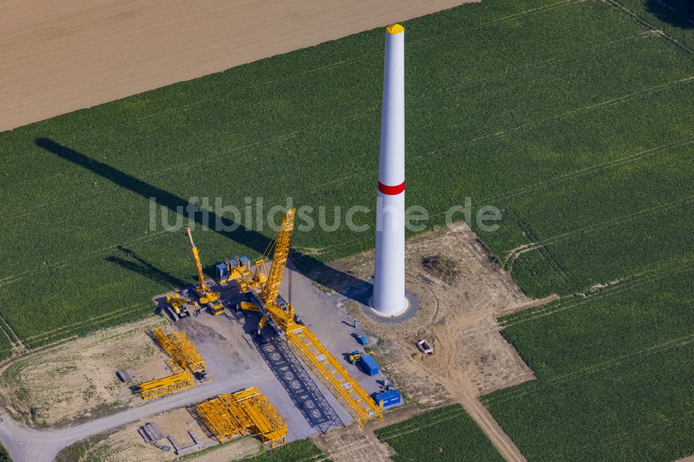 Grevenbroich aus der Vogelperspektive: Baustelle zur Windrad- Montage auf einem landwirtschaftlich genutzten Feld in Grevenbroich im Bundesland Nordrhein-Westfalen, Deutschland