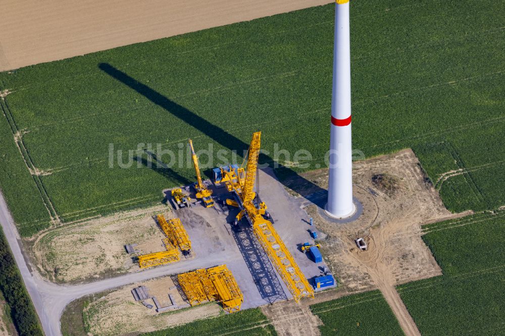 Luftbild Grevenbroich - Baustelle zur Windrad- Montage auf einem landwirtschaftlich genutzten Feld in Grevenbroich im Bundesland Nordrhein-Westfalen, Deutschland