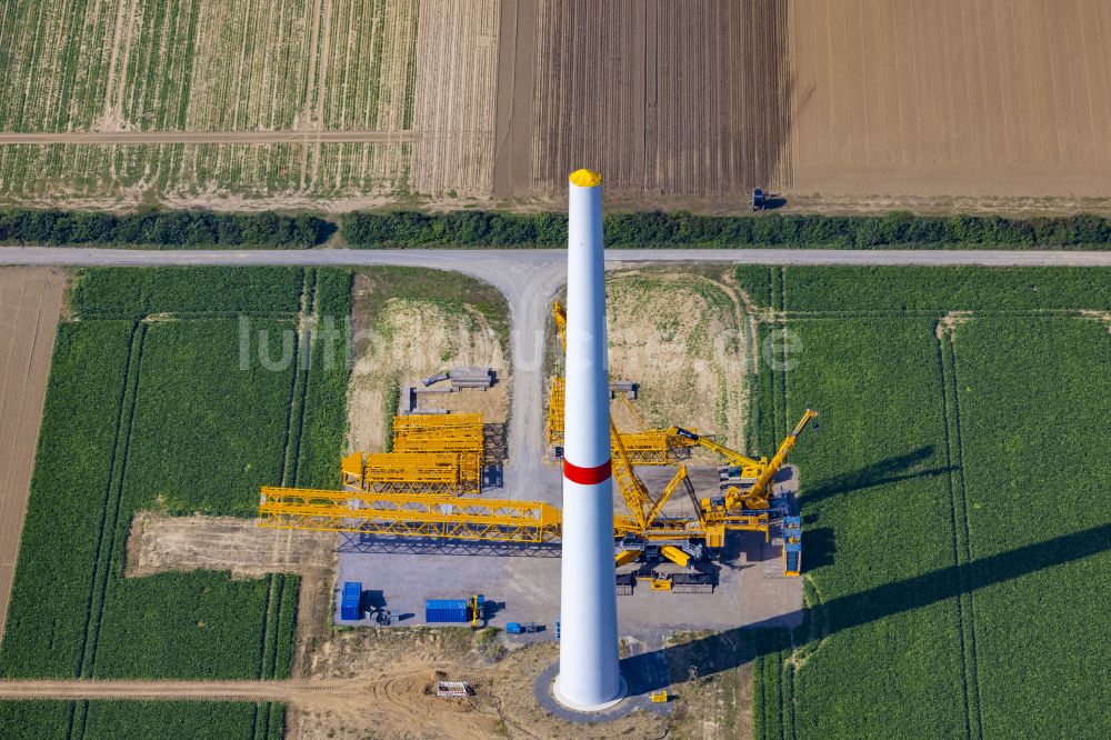 Grevenbroich von oben - Baustelle zur Windrad- Montage auf einem landwirtschaftlich genutzten Feld in Grevenbroich im Bundesland Nordrhein-Westfalen, Deutschland