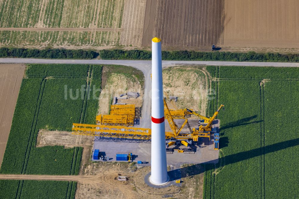 Grevenbroich aus der Vogelperspektive: Baustelle zur Windrad- Montage auf einem landwirtschaftlich genutzten Feld in Grevenbroich im Bundesland Nordrhein-Westfalen, Deutschland