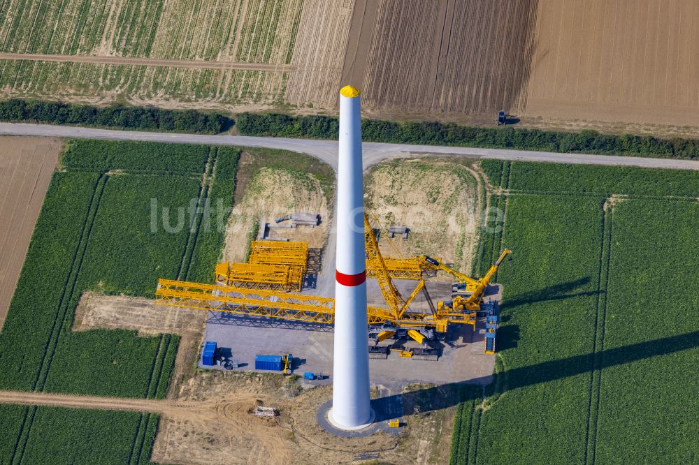 Luftbild Grevenbroich - Baustelle zur Windrad- Montage auf einem landwirtschaftlich genutzten Feld in Grevenbroich im Bundesland Nordrhein-Westfalen, Deutschland