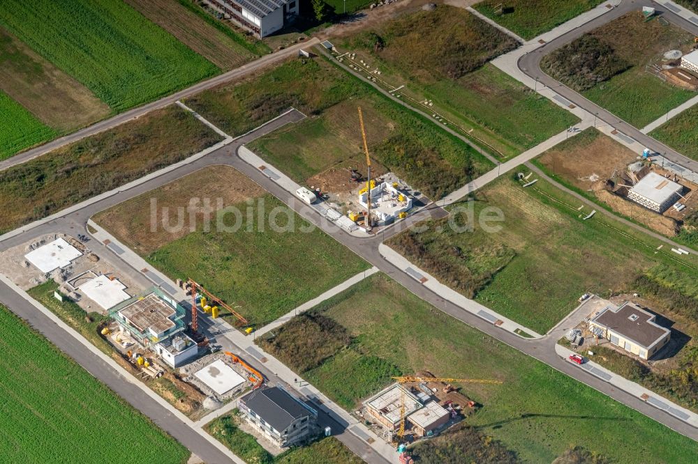 Niederschopfheim aus der Vogelperspektive: Baustellen zum Neubau- Wohngebiet einer Einfamilienhaus- Siedlung Baugebiet Laugasserfeld in Niederschopfheim im Bundesland Baden-Württemberg, Deutschland